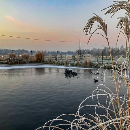 De Worfthoeve Bed & Breakfast Geel Exterior foto