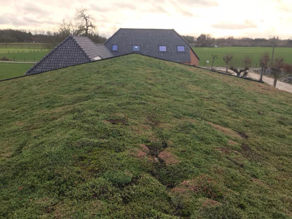 De Worfthoeve Bed & Breakfast Geel Exterior foto