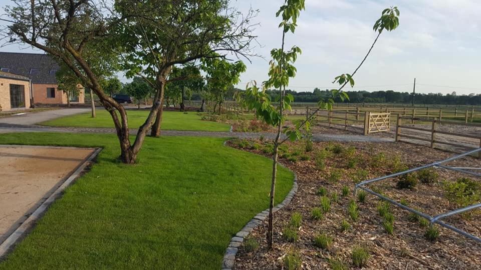 De Worfthoeve Bed & Breakfast Geel Exterior foto