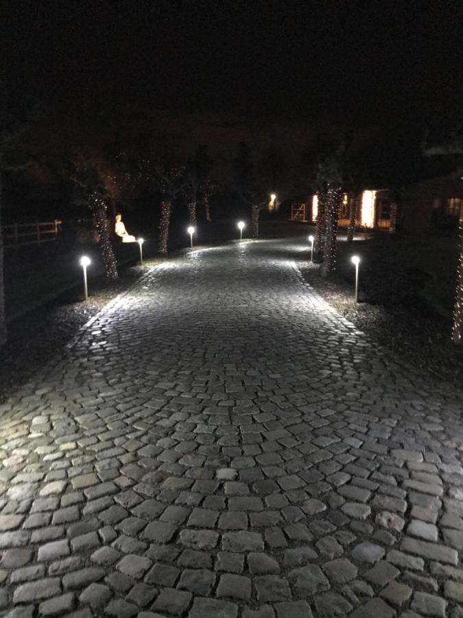 De Worfthoeve Bed & Breakfast Geel Exterior foto