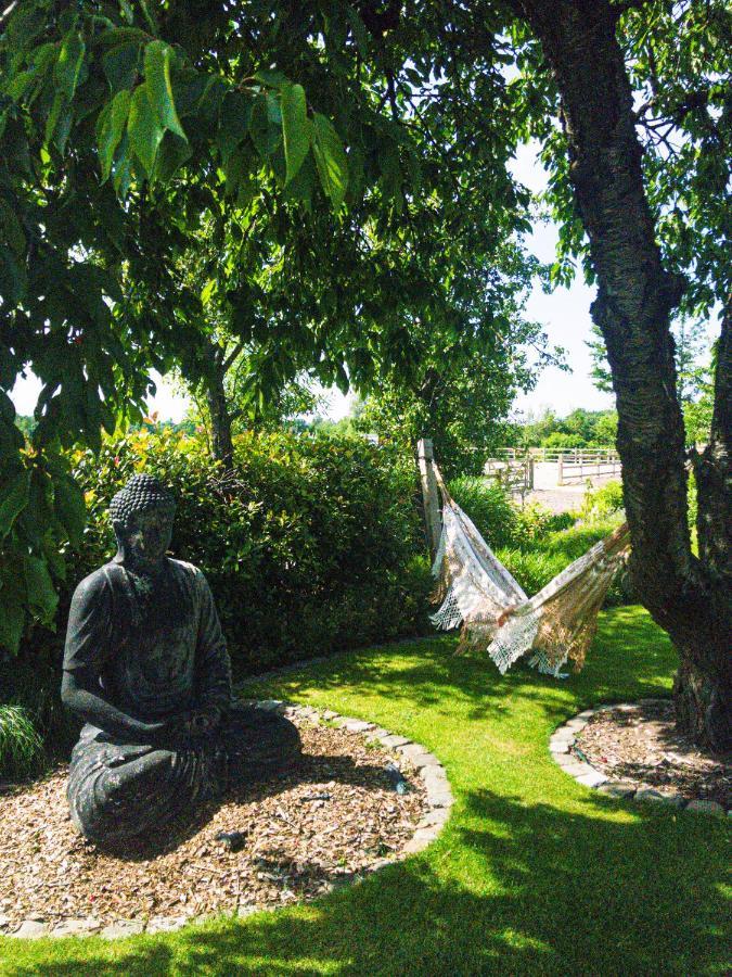 De Worfthoeve Bed & Breakfast Geel Exterior foto