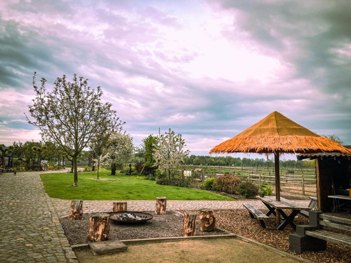 De Worfthoeve Bed & Breakfast Geel Exterior foto