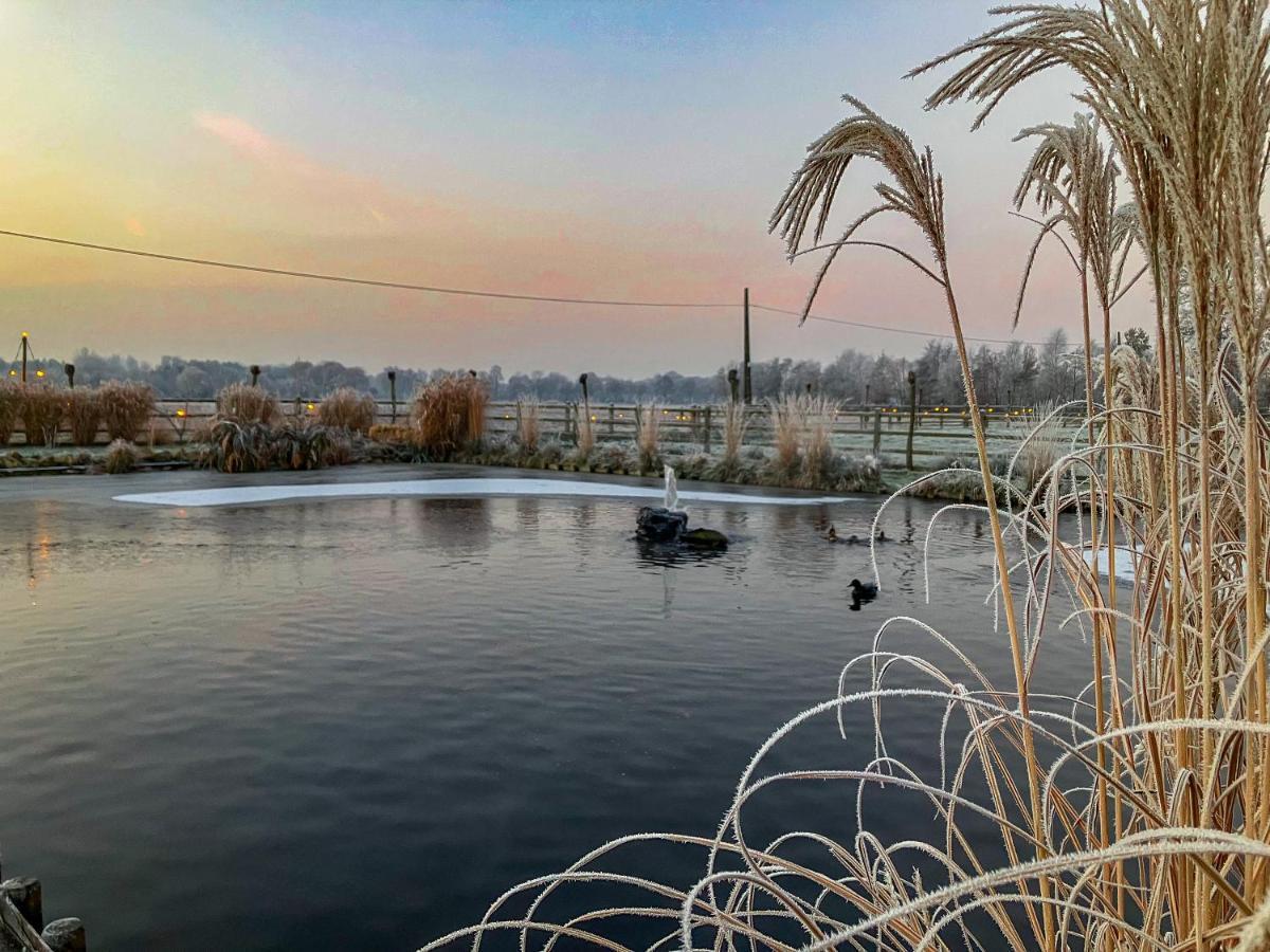 De Worfthoeve Bed & Breakfast Geel Exterior foto