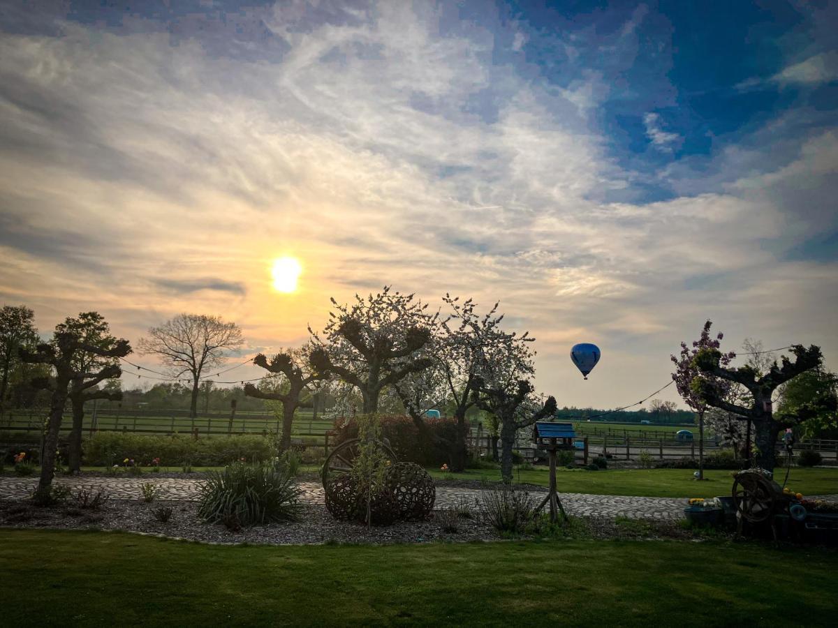 De Worfthoeve Bed & Breakfast Geel Exterior foto